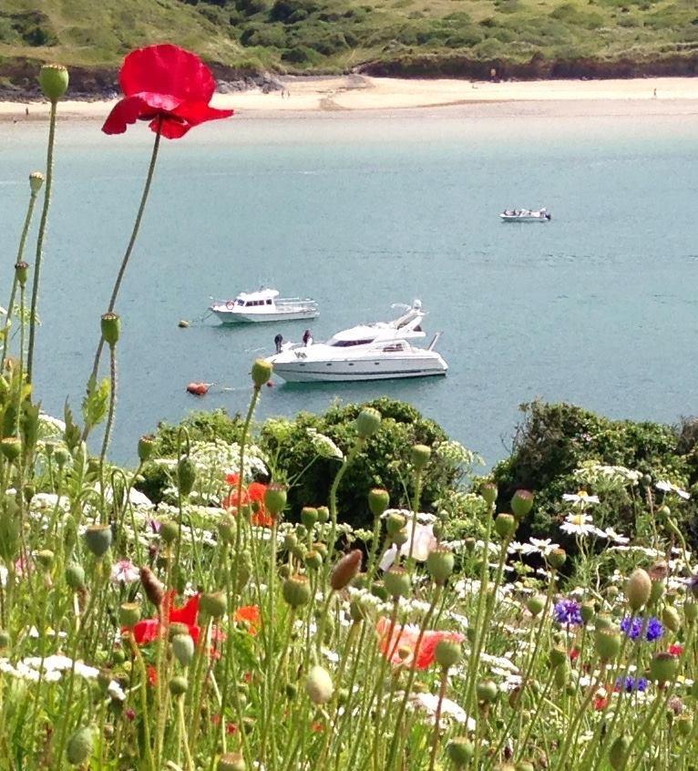 Cyntwell Guest Accommodation Padstow Exterior foto